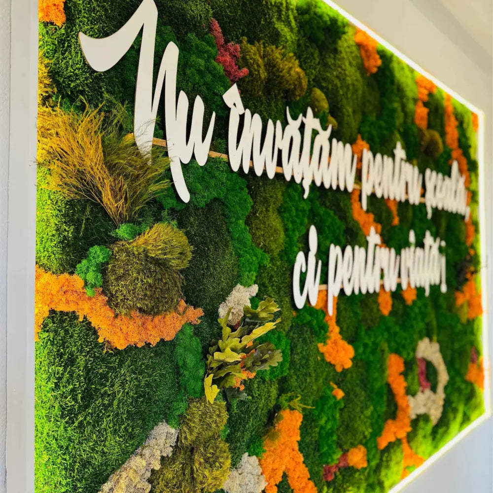 Panou din licheni si muschi stabilizați cu mesaj educațional | Decor pentru Școli Grădinițe si Licee