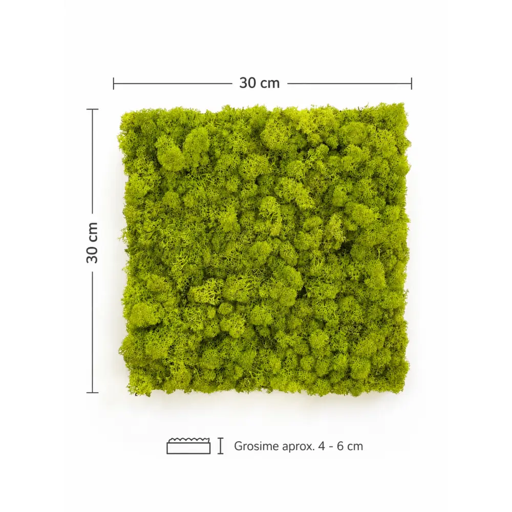 Panou decorativ acustic cu licheni naturali stabilizați pentru studio podcast