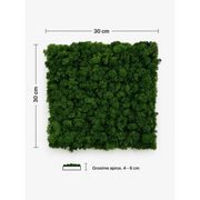 Panou fonoabsorbant cu licheni stabilizați verde padure, 30x30 cm, grosime 4-6 cm. Ideal pentru podcast, birou, studio și decor acustic.
