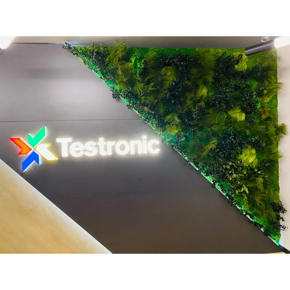 Panou triunghiular cu muschi si plante stabilizate – Receptie Testronic