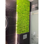 🌿 Panou vertical cu licheni stabilizați – Eleganță naturală pentru băi moderne 🌿