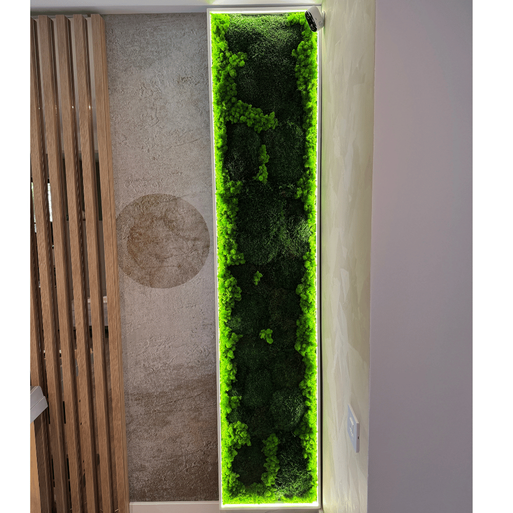 Panou decorativ din licheni stabilizați cu iluminare LED | Design modern pentru interior