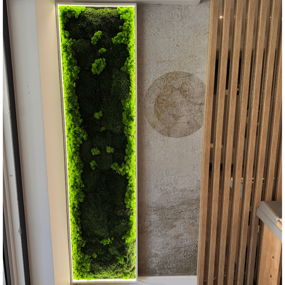 Panou decorativ din licheni stabilizați cu iluminare LED | Design modern pentru interior