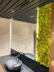 Decor vertical din licheni stabilizați cu iluminare LED pentru băi moderne, design fresh și fără întreținere. Ideal pentru locuințe, hoteluri și spa-uri.