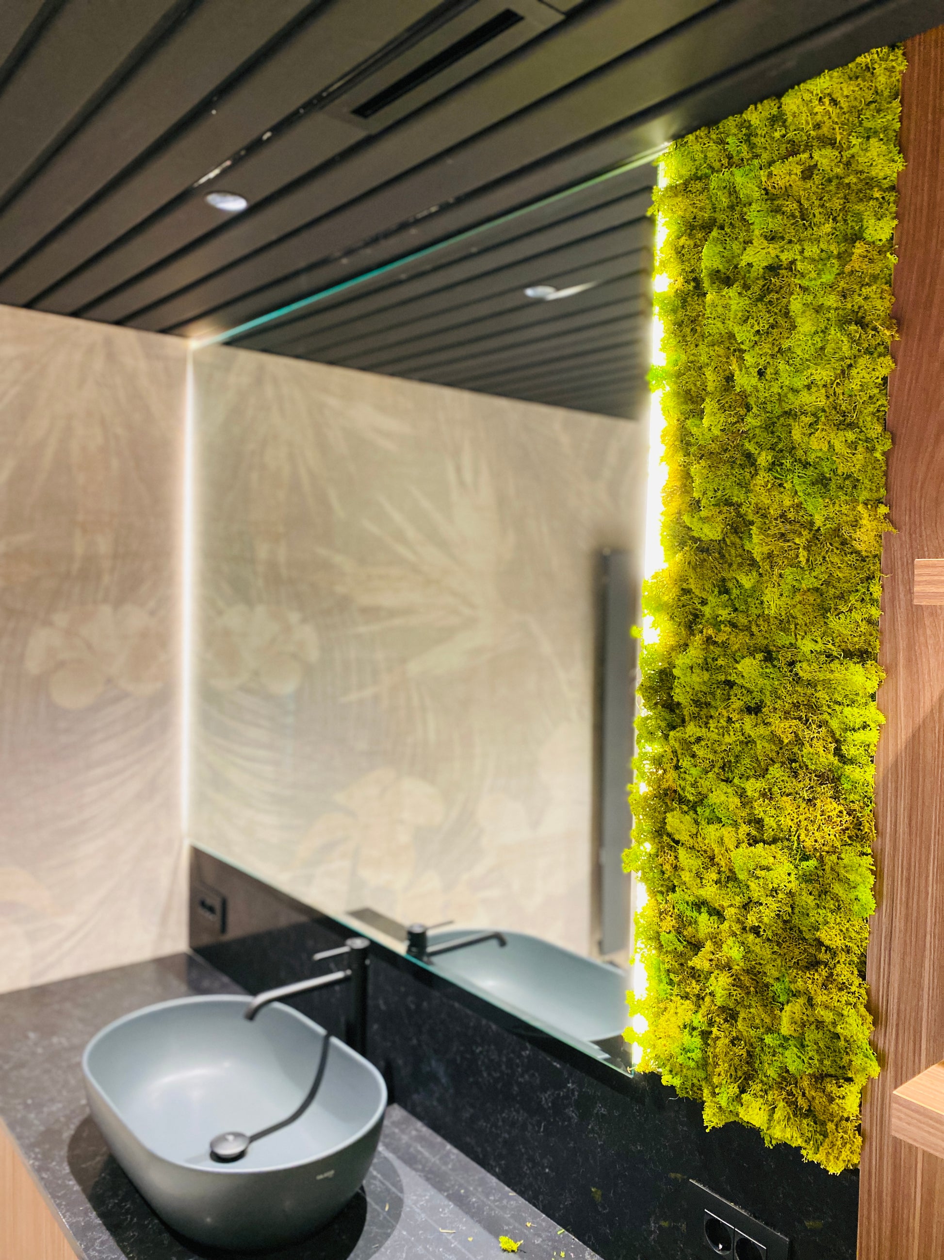 Decor vertical din licheni stabilizați cu iluminare LED pentru băi moderne, design fresh și fără întreținere. Ideal pentru locuințe, hoteluri și spa-uri.
