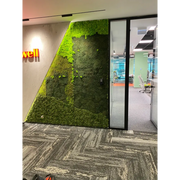 🌿 Perete decorativ cu licheni stabilizați și logo personalizat – Design corporativ modern 🌿
