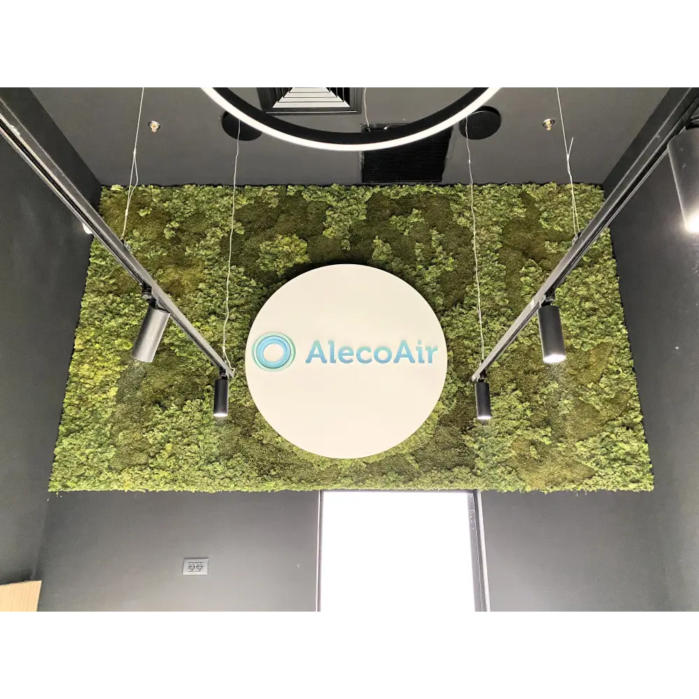 Perete decorativ cu licheni naturali AlecoAir. Design personalizat, montaj profesional oriunde în România. Contactează-ne pentru detalii.