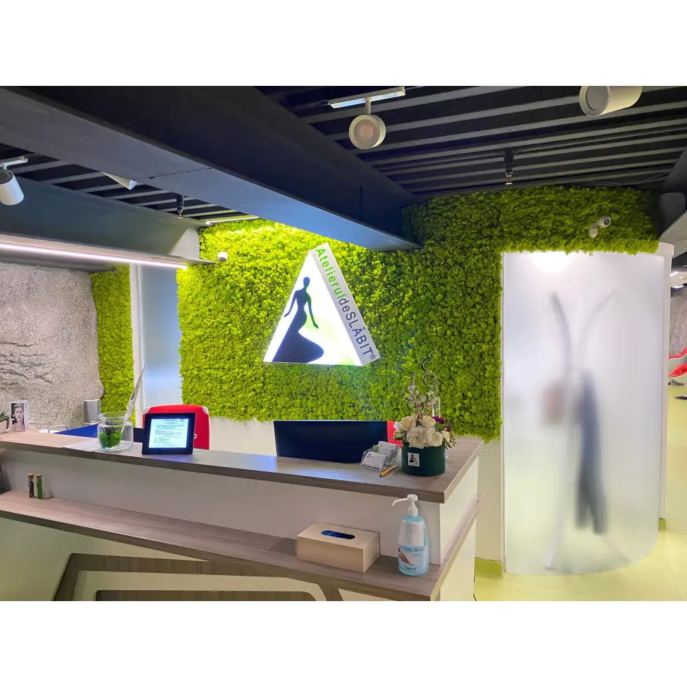 Perete decorativ din licheni stabilizați pentru recepții și spații comerciale