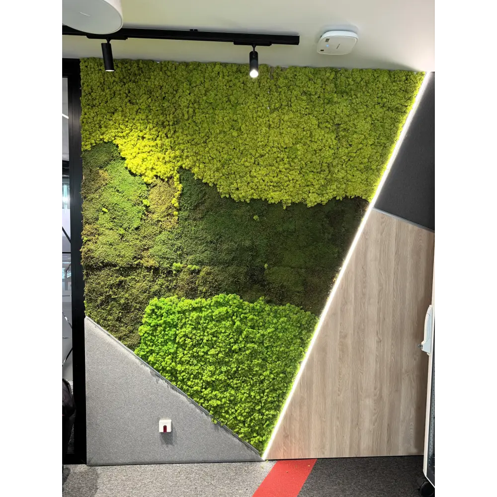 Adaugă o notă de prospețime și design inovator spațiului tău cu acest perete decorativ realizat din licheni stabilizați