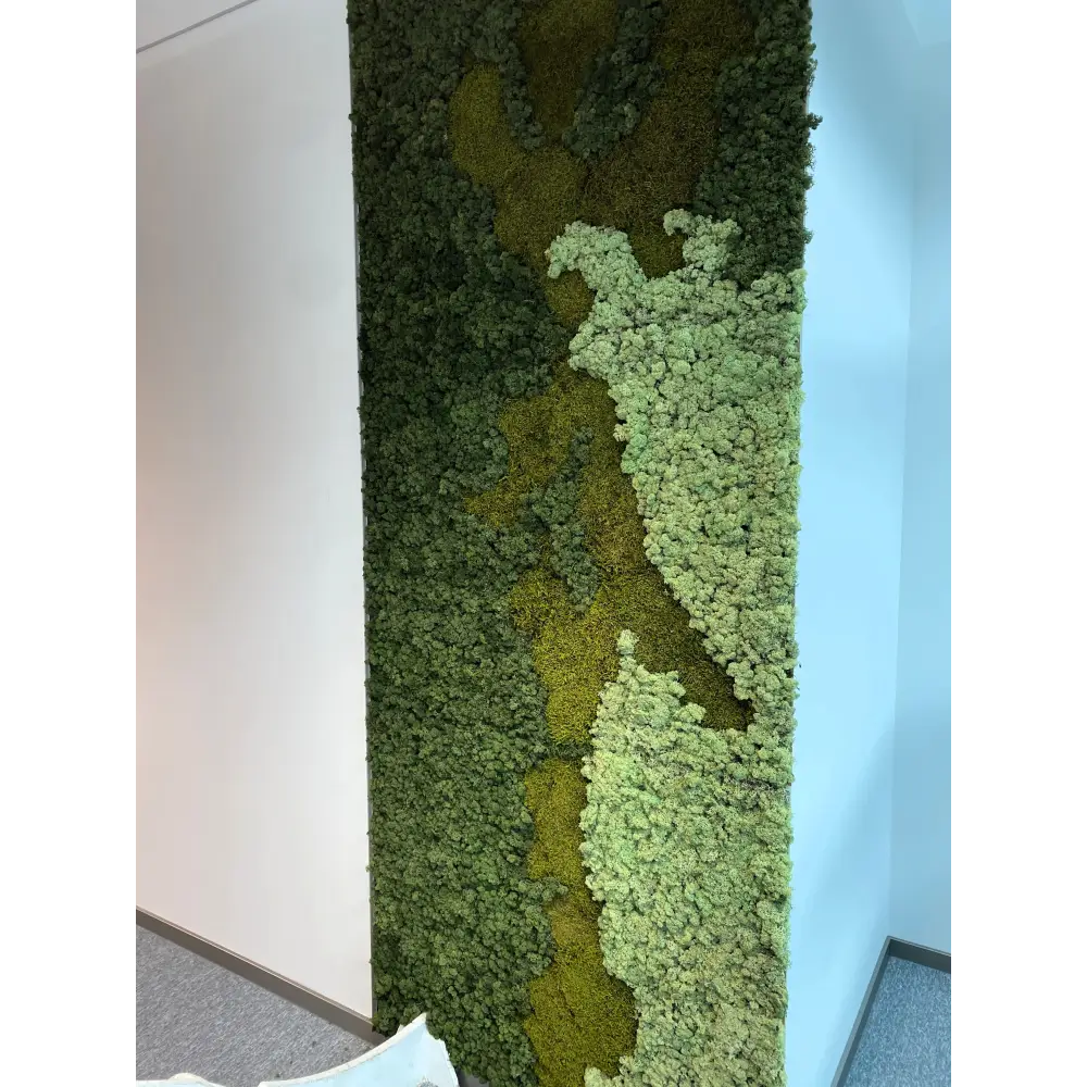 🌿 Perete decorativ vertical cu licheni stabilizați – Design organic și modern 🌿