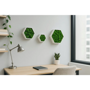 Set 3 piese hexagonale cu licheni stabilizați, perfecte pentru decor modern. 100% natural, fără întreținere. Design modular. Livrare rapidă.