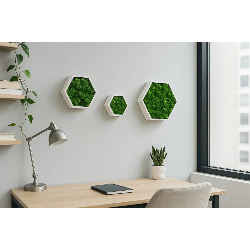 Set 3 piese hexagonale cu licheni stabilizați, perfecte pentru decor modern. 100% natural, fără întreținere. Design modular. Livrare rapidă.