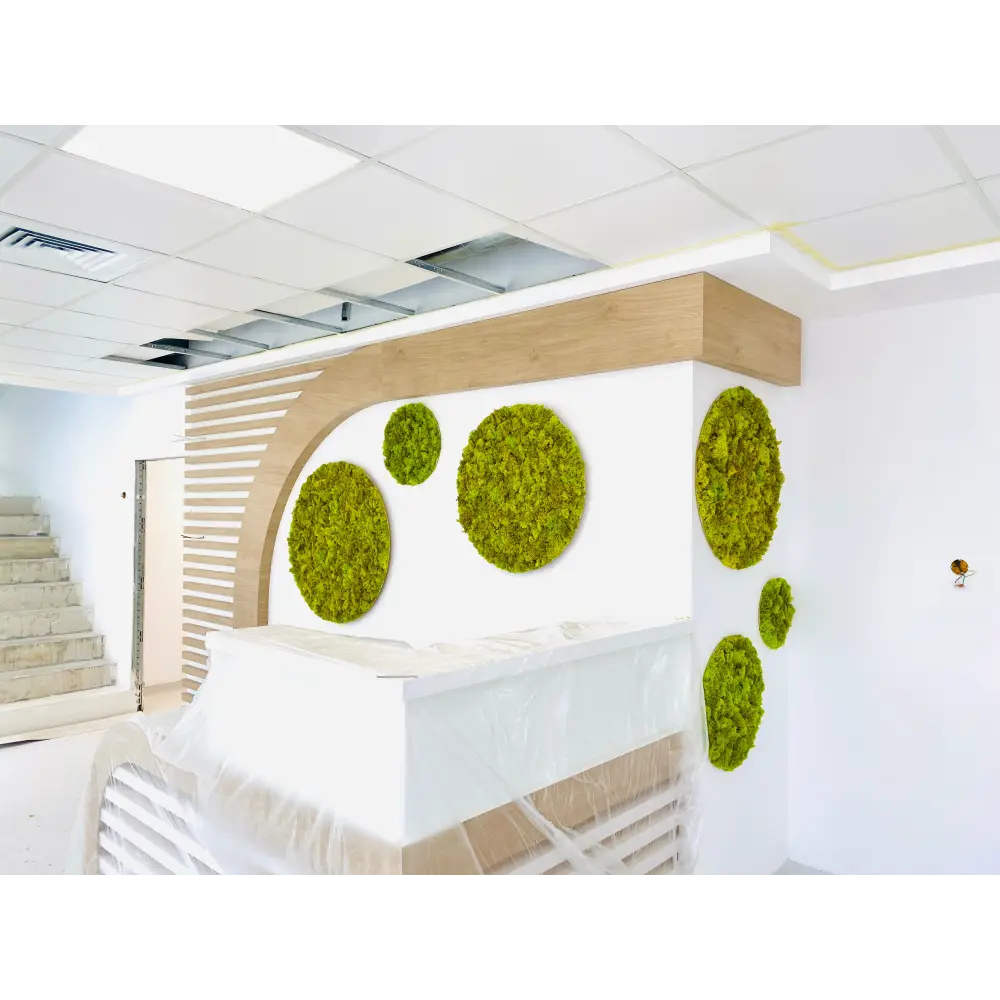 Set 6 cercuri din licheni stabilizați – Design modern pentru recepții și spații comerciale