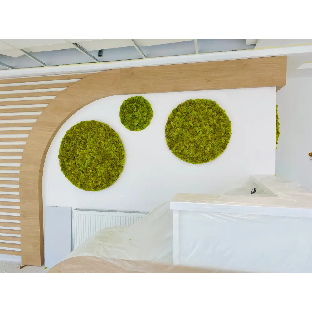 Set 6 cercuri din licheni stabilizați – Design modern pentru recepții și spații comerciale
