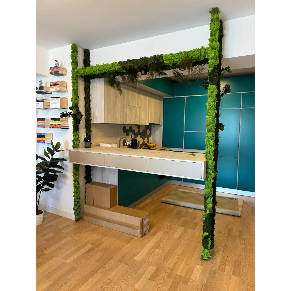 Structura decorativă cu licheni si muschi stabilizați – delimitare naturală între spații