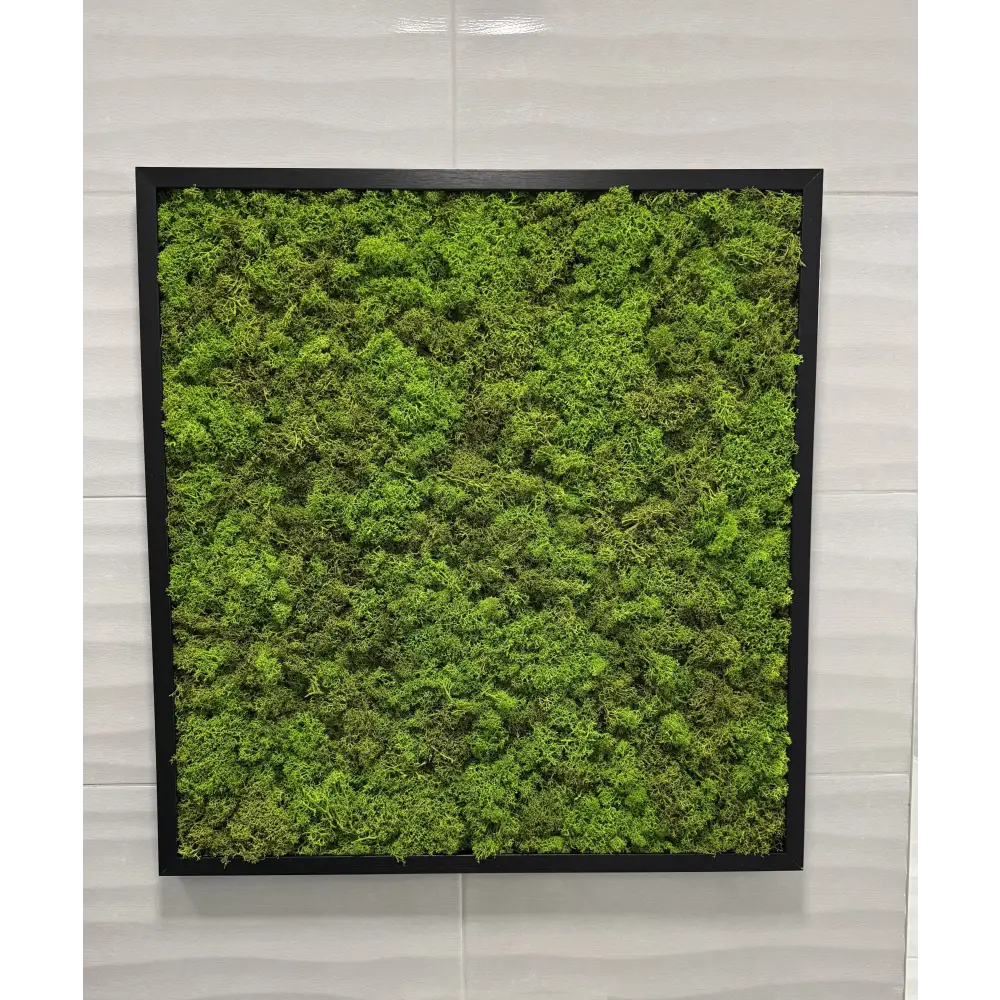 Tablou cu licheni pentru baie cu rama neagra 50x50 cm