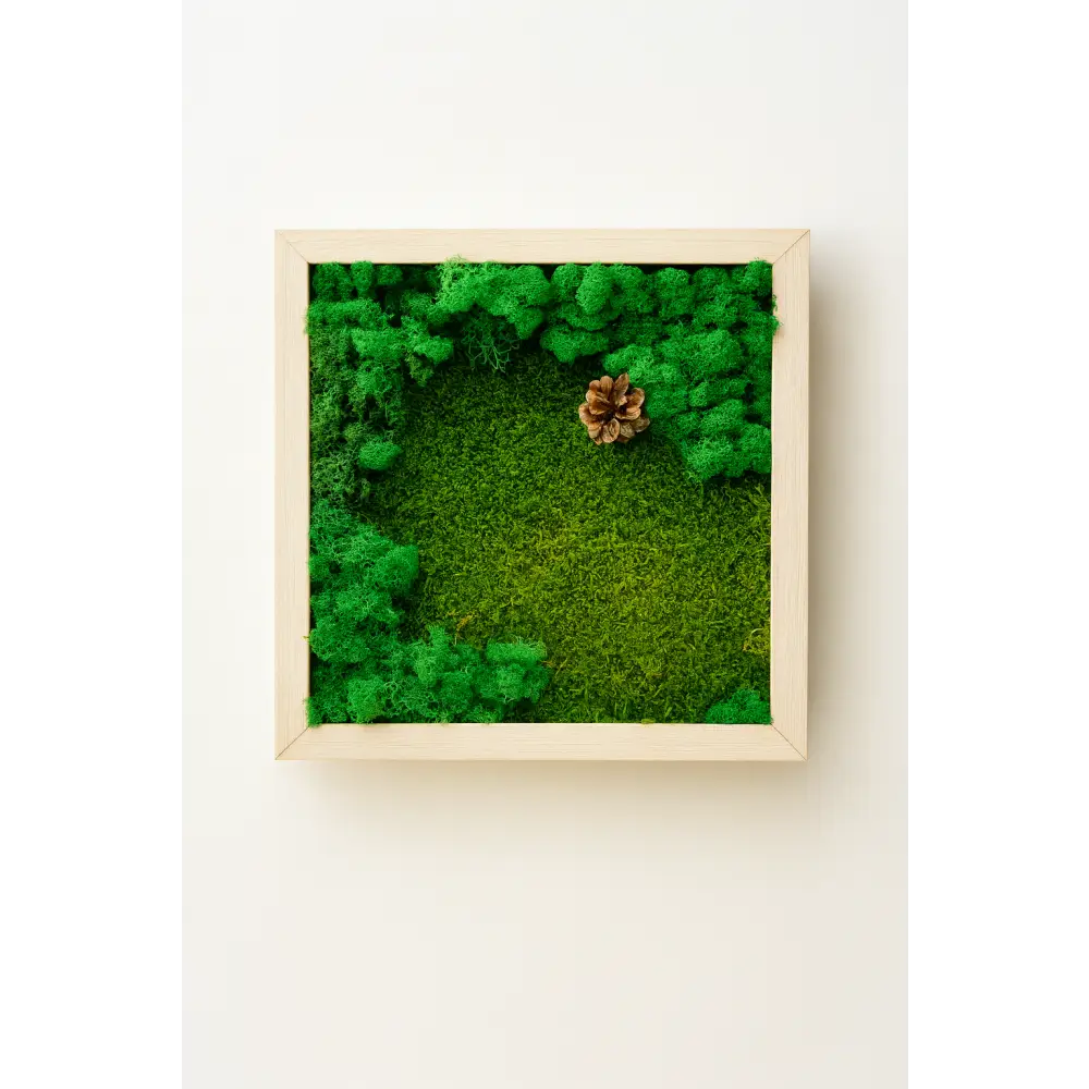 Tablou din muschi si licheni stabilizati verde, cu rama alba natur, dimensiune 30x30 ideal pentru orice amenajare interioara