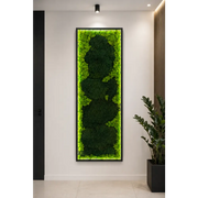 Tablou cu licheni stabilizați 150x50 cm cu iluminare LED – Design modern premium