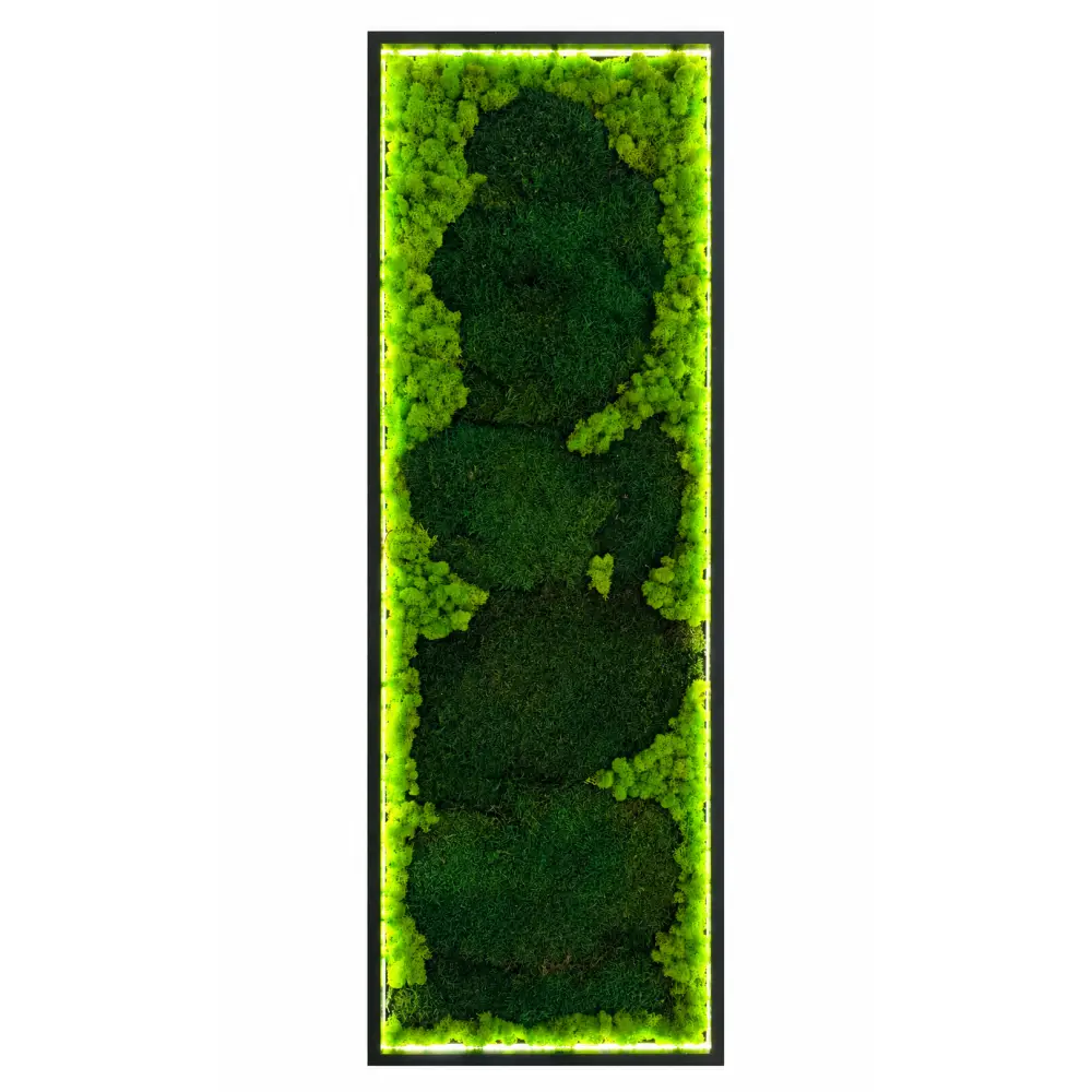 Tablou cu licheni stabilizați 150x50 cm cu iluminare LED – Design modern premium