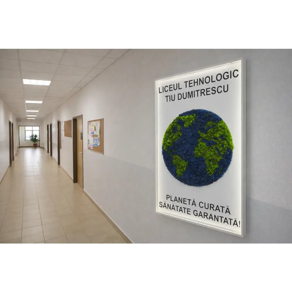 Tablou decorativ cu licheni stabilizați reprezentând planeta Pământ, iluminat LED montat in scoala 