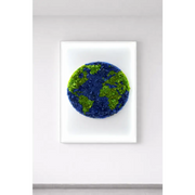 Tablou decorativ cu licheni stabilizați reprezentând planeta Pământ, iluminat LED.