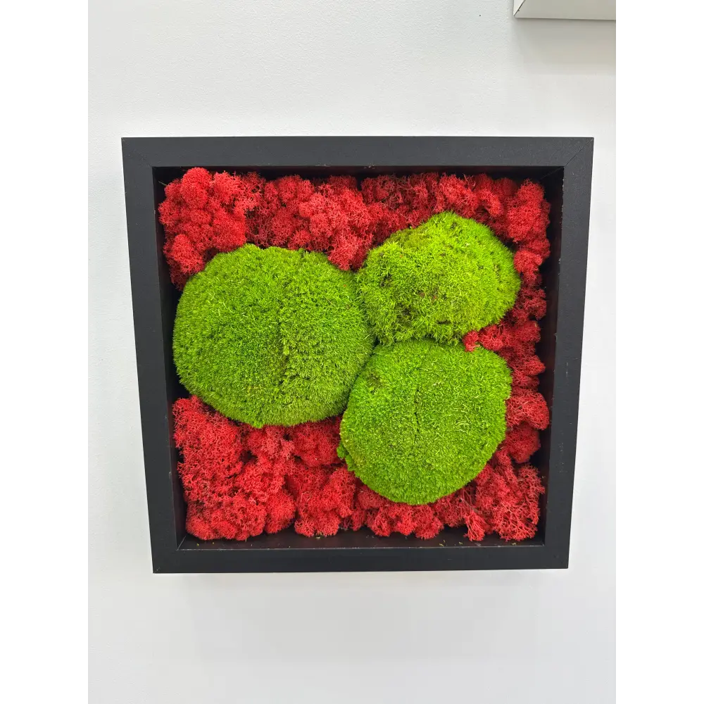 Tablou modern cu licheni stabilizați roșii și mușchi verde, ramă neagră, fără întreținere