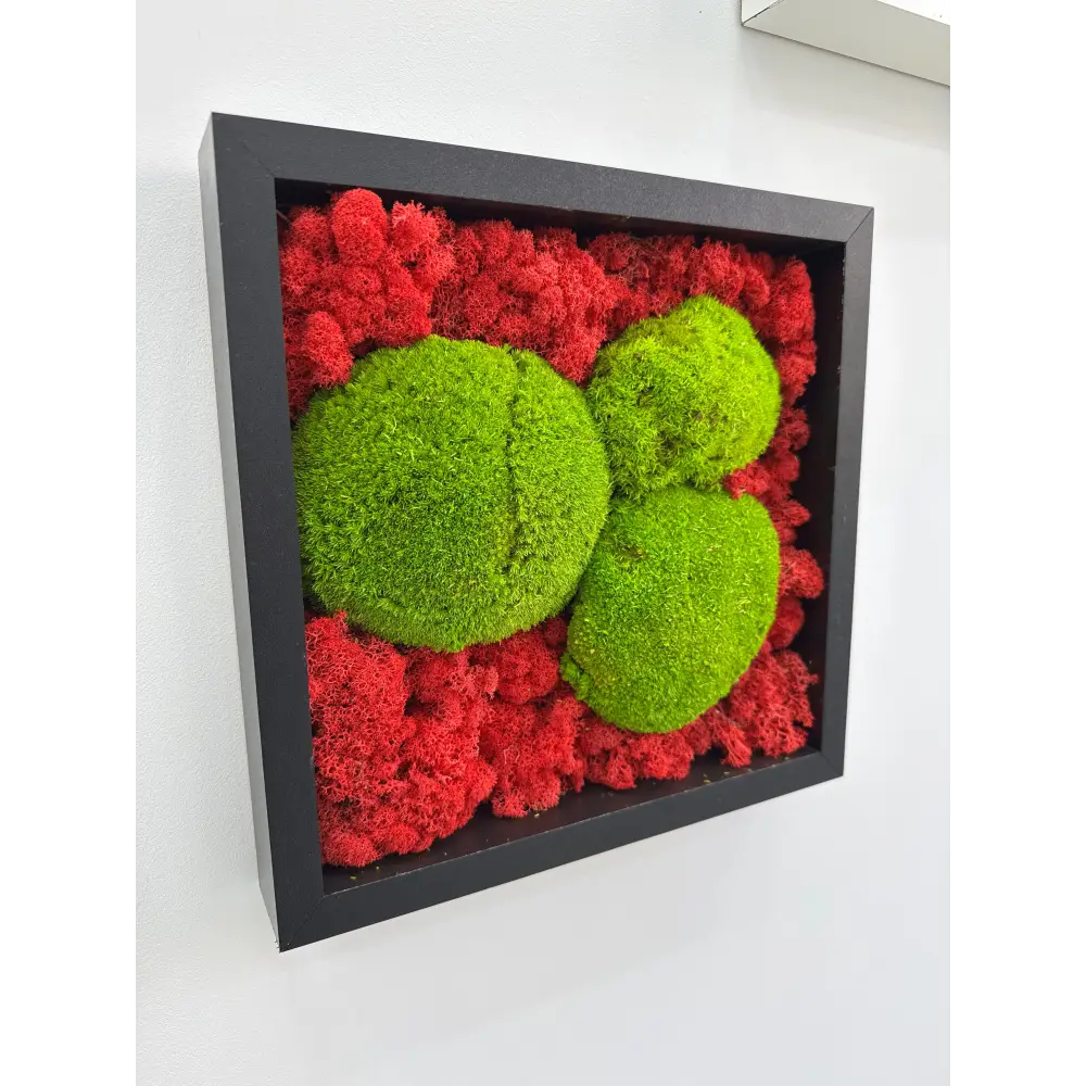 Tablou cu licheni naturali stabilizați și mușchi bombat verde, design contrastant roșu-verde pentru perete
