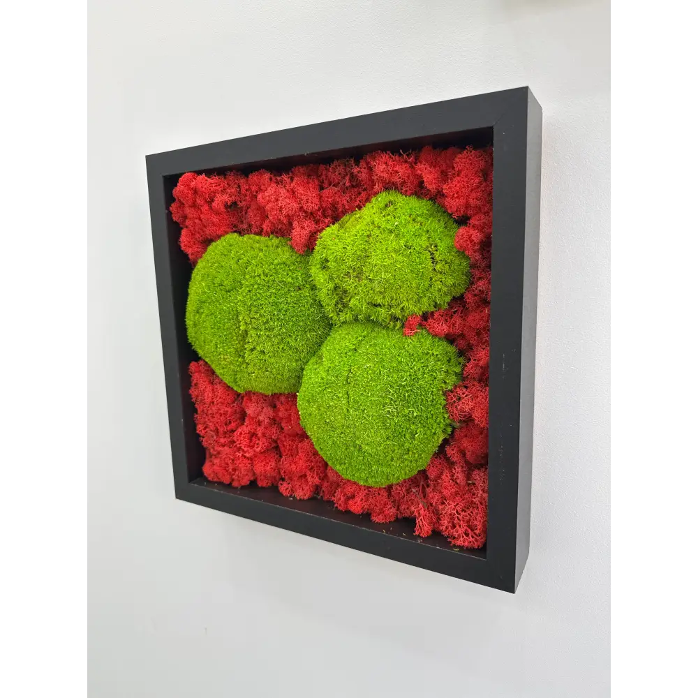 Decor perete cu licheni și mușchi stabilizați, tablou handmade 30x30 cm pentru living sau birou