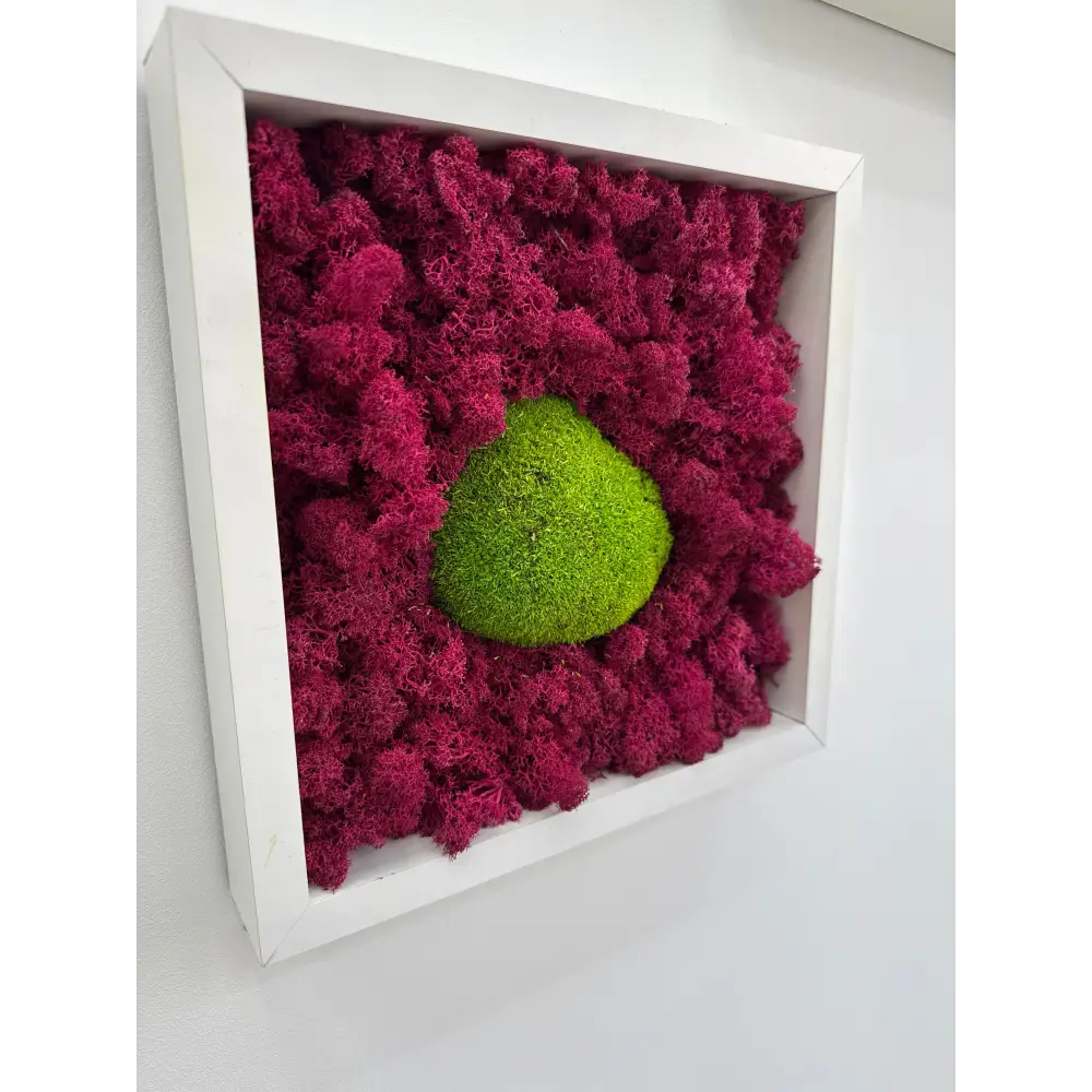 Tablou cu muschi plat si licheni fucsia ramă alb mat –30x30 cm