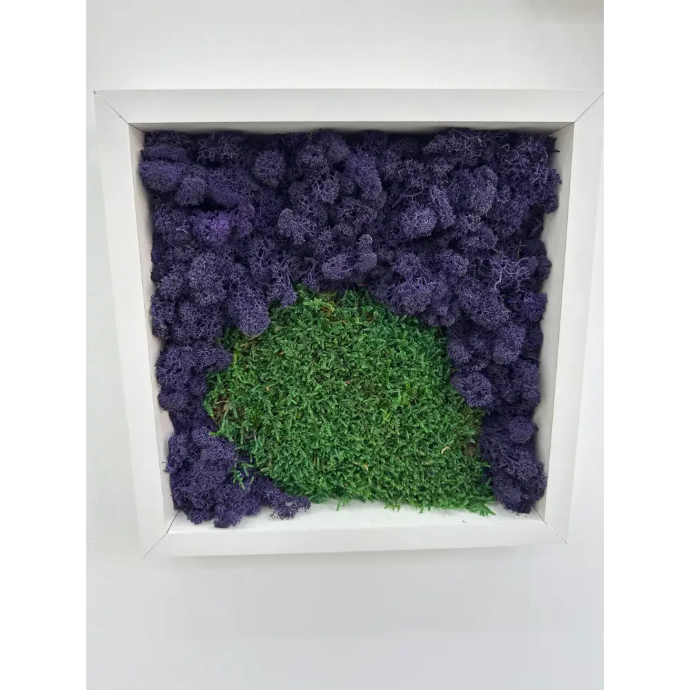 Tablou decorativ cu licheni naturali stabilizati, nuante contrastante mov si verde, ideal pentru decorarea peretilor din bucatarie