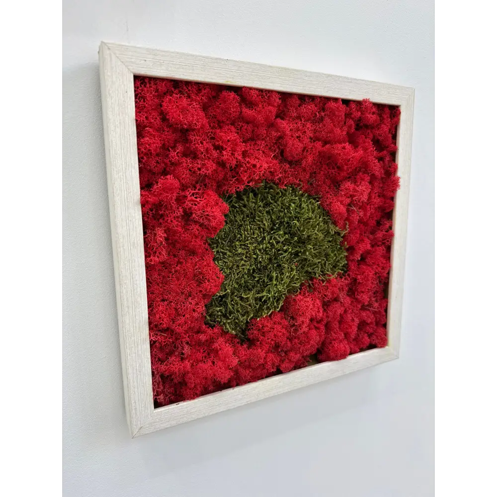 Tablou cu rama alb natur, compozitie mixta de muschi si licheni decorativi ieftini, cu dimensiunea 30x30 cm