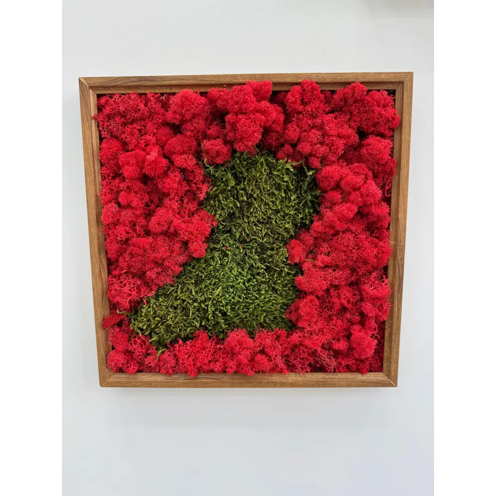 Decor de perete cu licheni naturali stabilizati in rama de lemn, evidențiat de iluminare ambientala calda