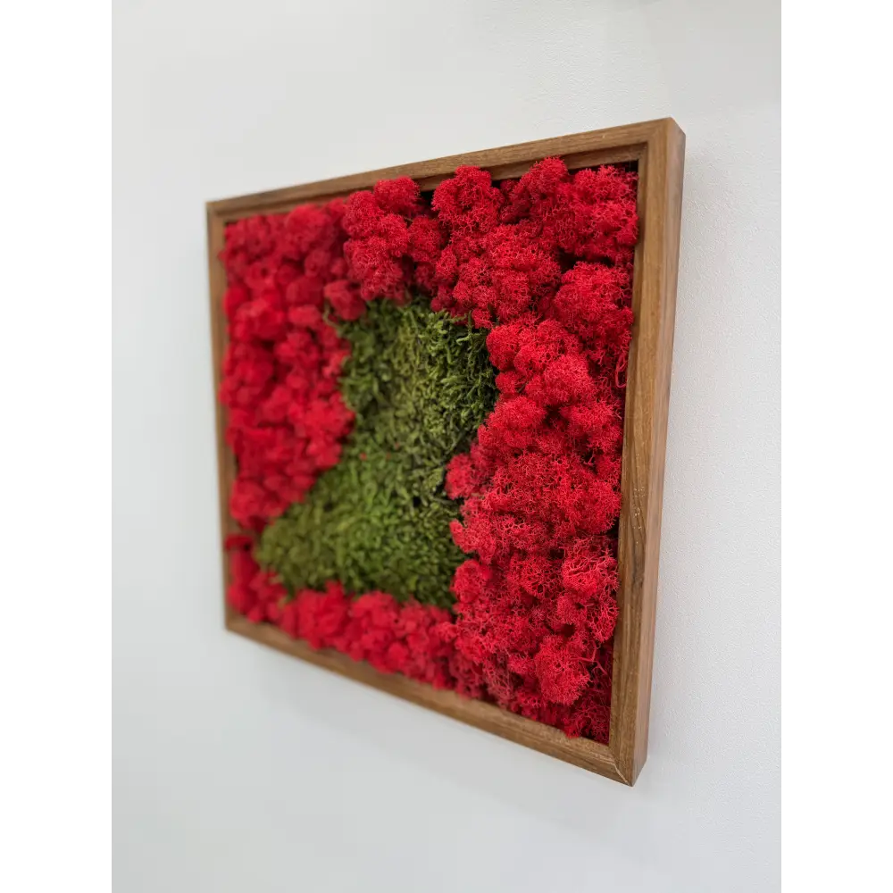 Tablou cu licheni 30x30 cm iluminat de spot, ideal pentru decorarea peretilor in living sau birou