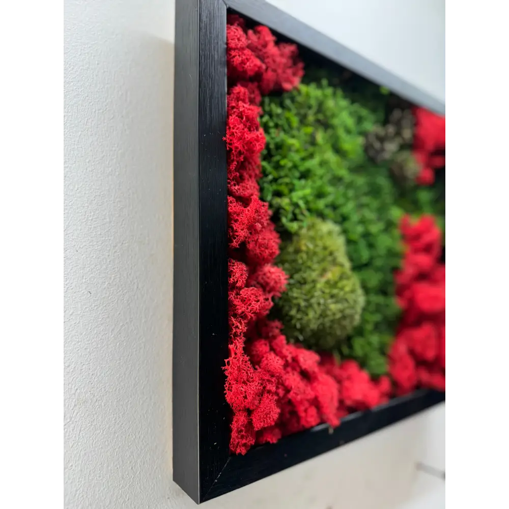 Tablou cu muschi si licheni roșii ramă neagră –30x30 cm