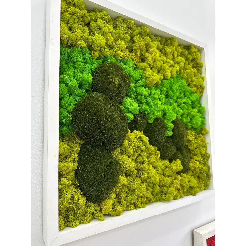 Decor de perete cu muschi si licheni naturali stabilizati, compozitie organica in culori naturale, integrat intr-un spatiu elegant