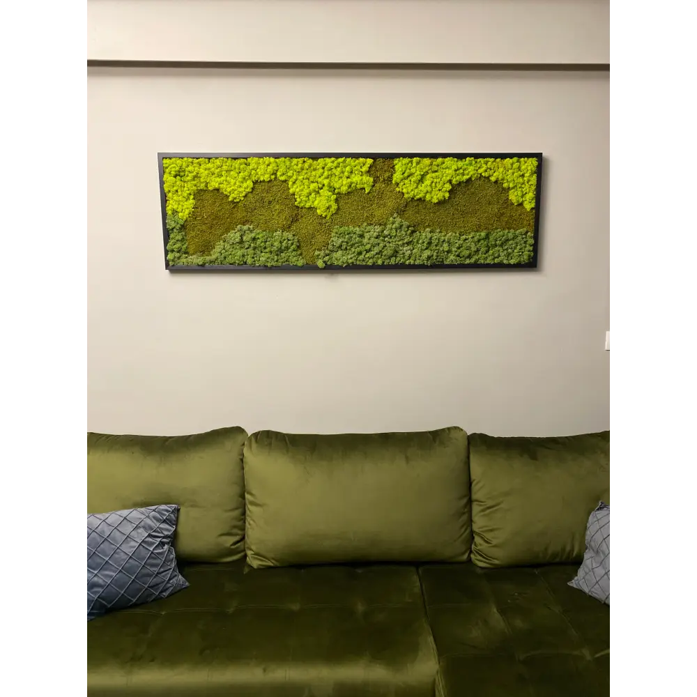 Tablou din licheni stabilizați – Arta verde care face minuni pentru ochi și… respirație!