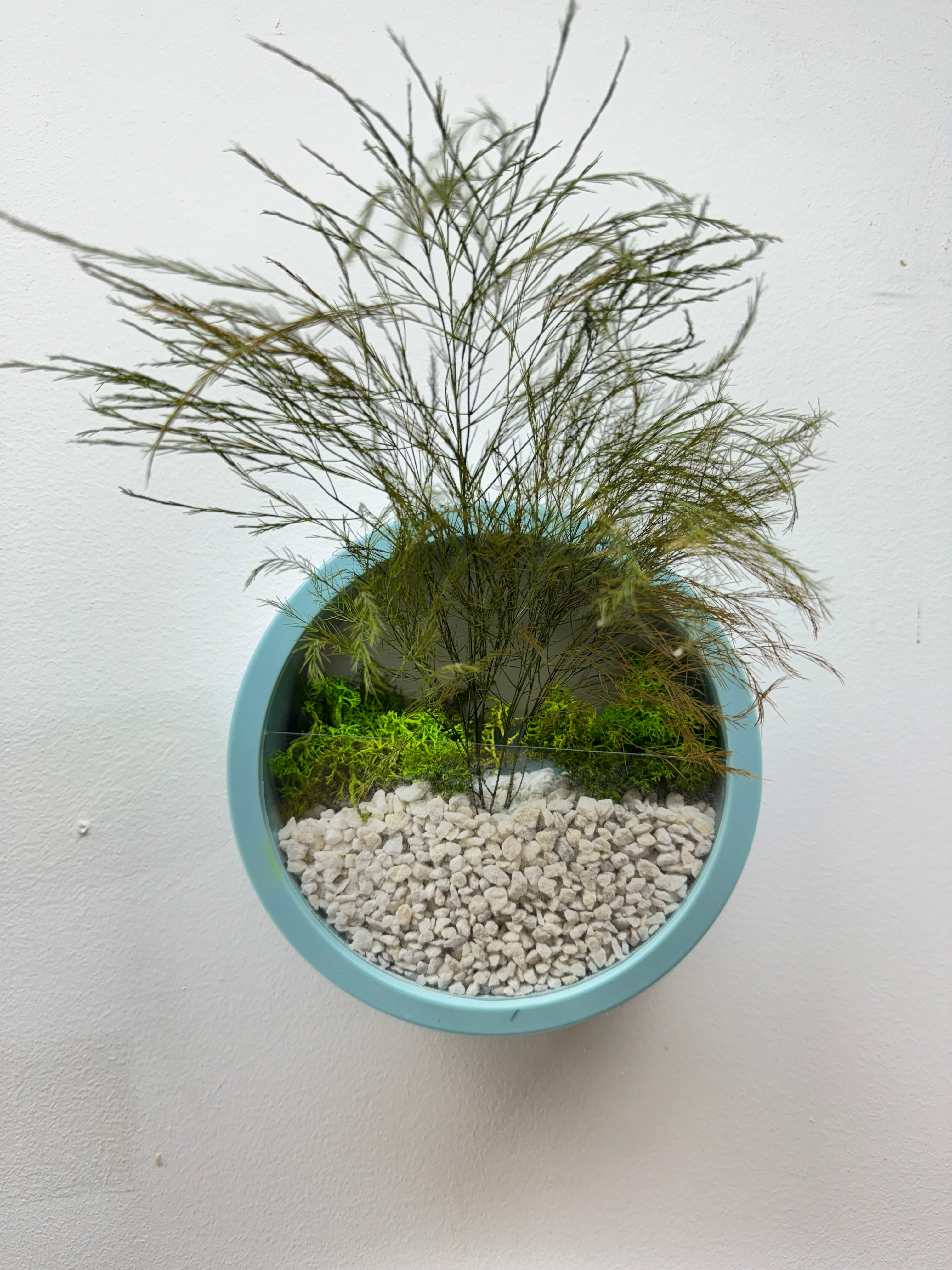 Tablou decorativ rotund, ramă albastră, diametru 18 cm, cu licheni și plante stabilizate, ideal pentru casă sau birou