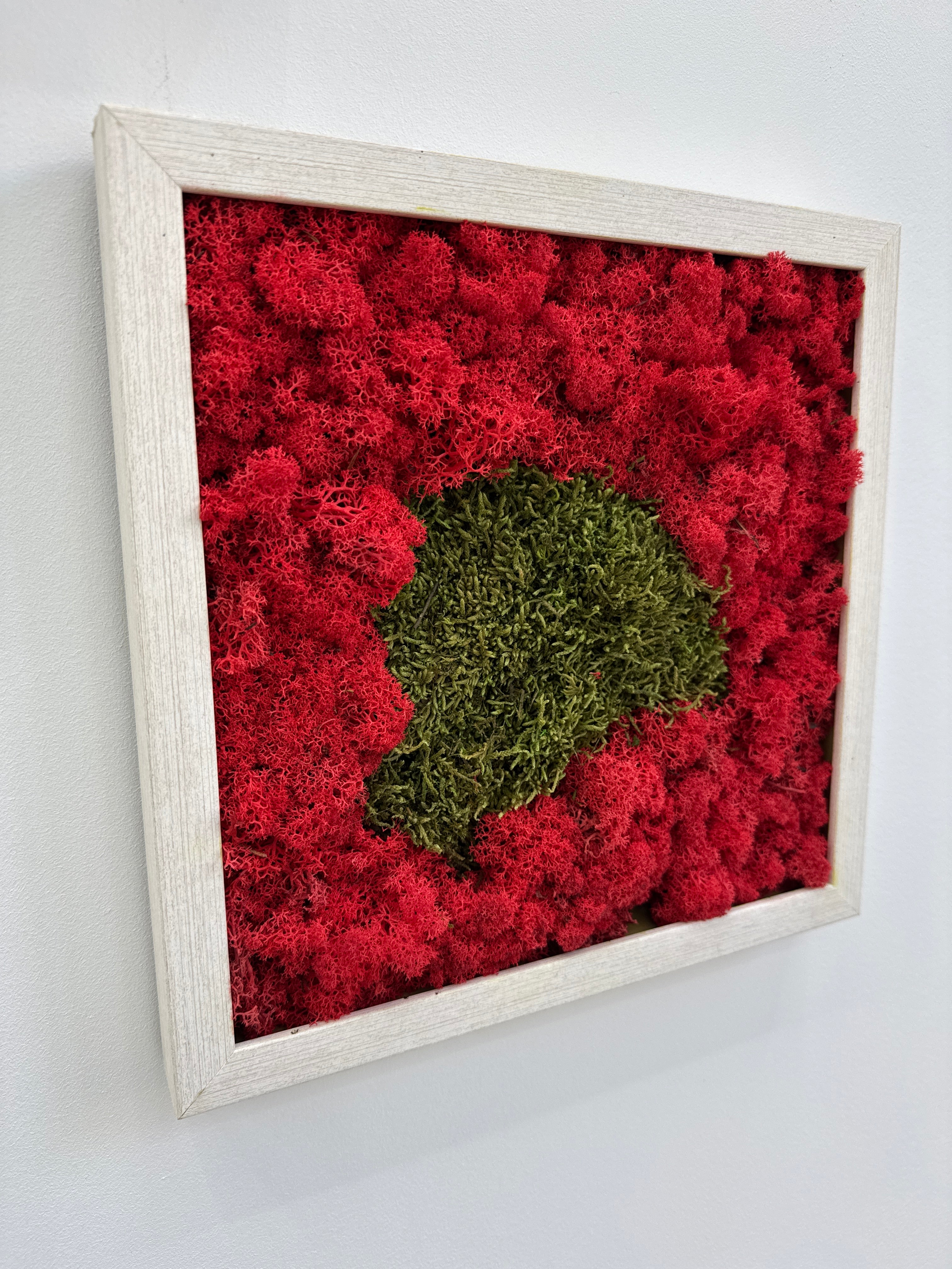 Tablou cu rama alb natur, compozitie mixta de muschi si licheni decorativi ieftini, cu dimensiunea 30x30 cm