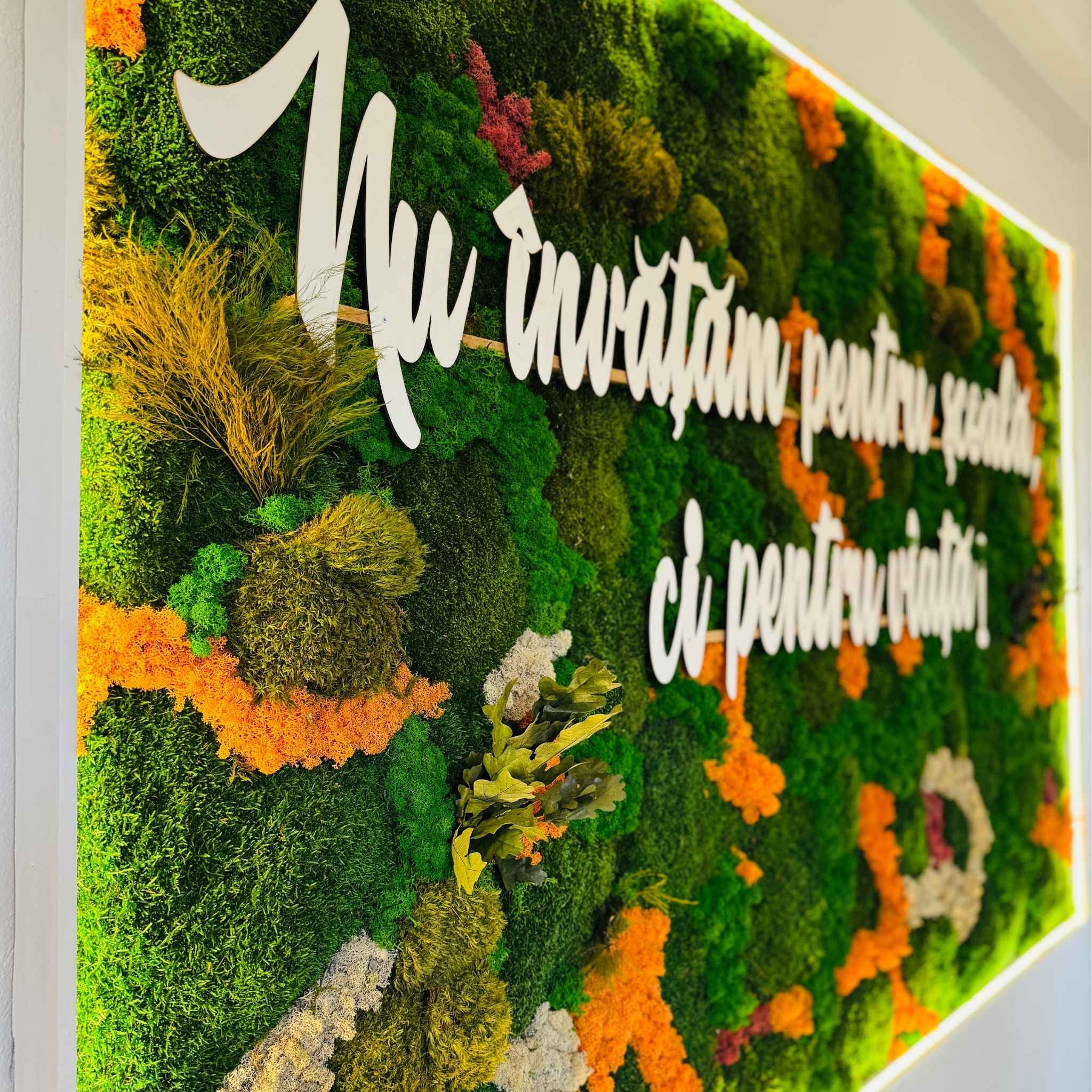 Panou din licheni si muschi stabilizați cu mesaj educațional | Decor pentru Școli, Grădinițe si Licee