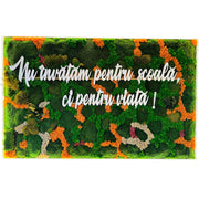 Panou din licheni si muschi stabilizați cu mesaj educațional | Decor pentru Școli, Grădinițe si Licee