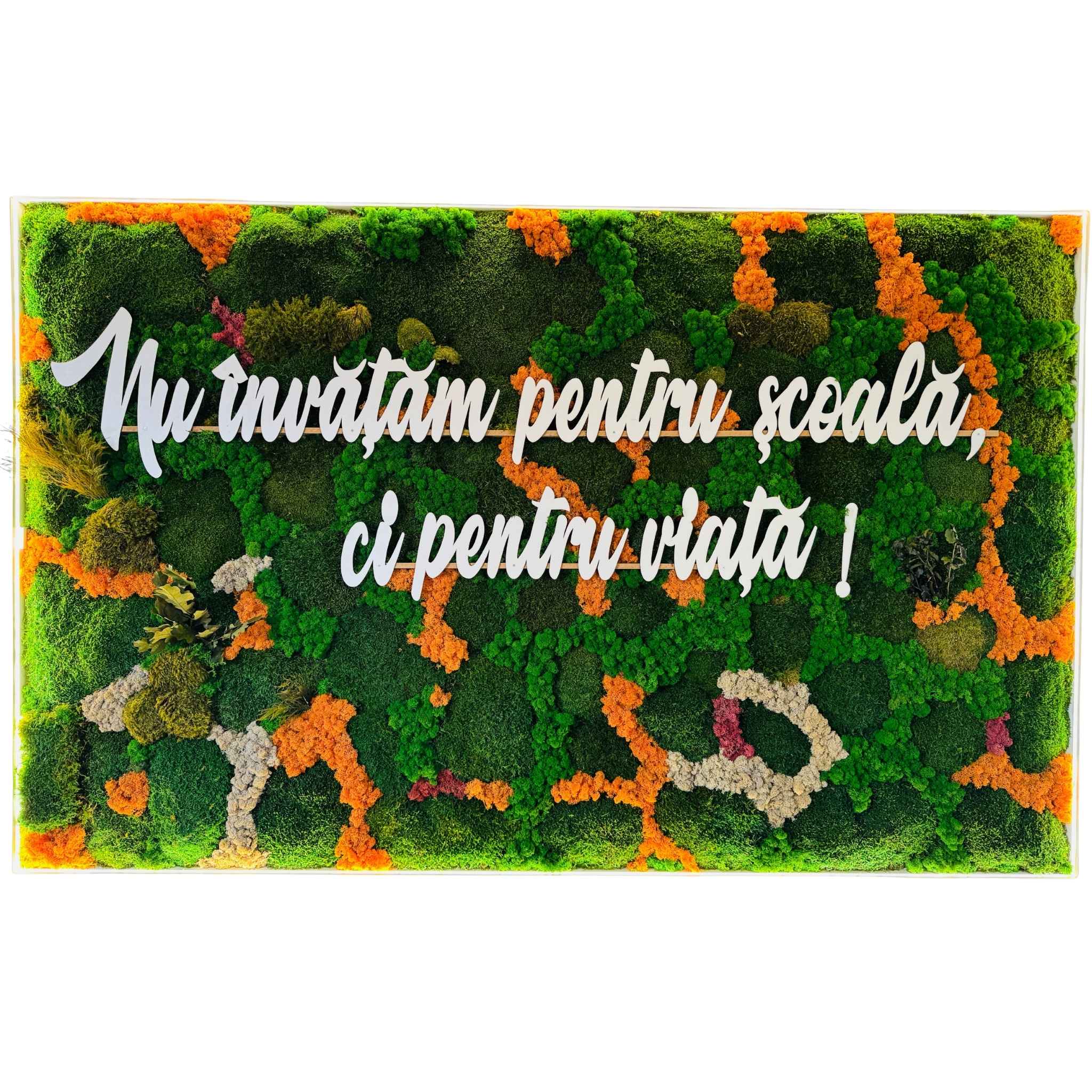 Panou din licheni si muschi stabilizați cu mesaj educațional | Decor pentru Școli, Grădinițe si Licee