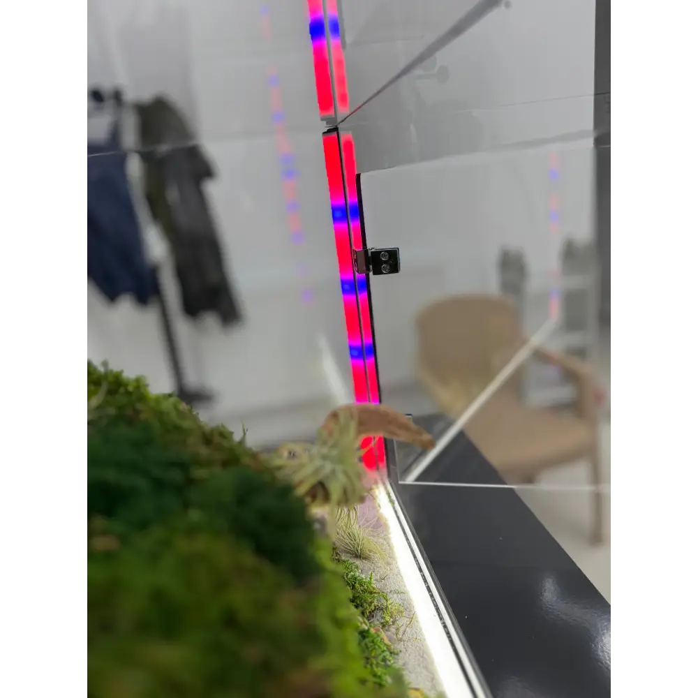 Terariu cu plante aeriene mușchi si licheni stabilizați LED